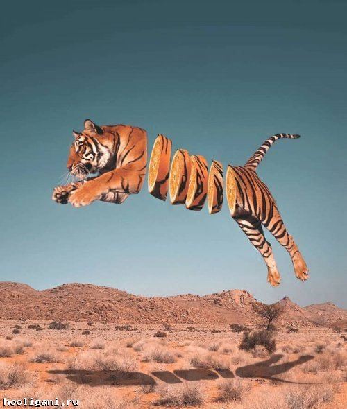 <br />
				Сюрреалистические фотоманипуляции, в которых художник объединяет животных с едой (9 фото)<br />
							