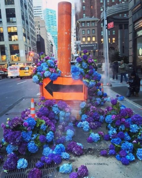 Флорист превращает нью-йоркские телефонные будки в цветочные клумбы (11 фото)