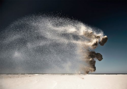 Парящие в воздухе силуэты животных, появляющиеся из горсти брошенного песка (9 фото)