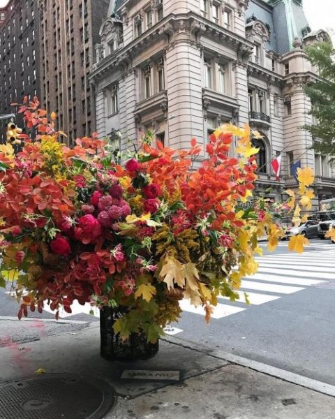Флорист превращает нью-йоркские телефонные будки в цветочные клумбы (11 фото)