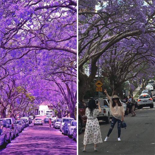 Разоблачительные фотографии Instagram vs. реальность, показывающие всю суть социальной сети (35 фото)