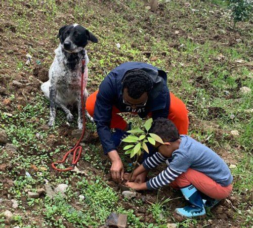 Эфиопия установила новый мировой рекорд, посадив более 350 миллионов деревьев за один день (13 фото)