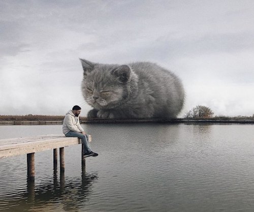 Российский художник показывает, каково было бы жить в мире, где обитают гигантские кошки. Спойлер: заМУРрчательно! (37 фото)