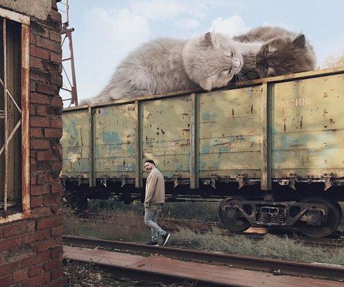 Российский художник показывает, каково было бы жить в мире, где обитают гигантские кошки. Спойлер: заМУРрчательно! (37 фото)